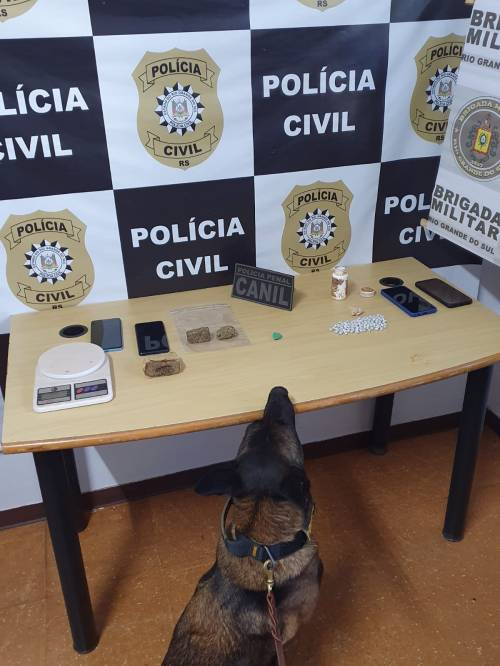Operação Teia foi desenvolvida nessa segunda-feira