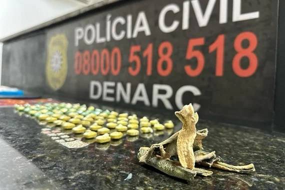 Apreensão da planta peiote, um cacto que era utilizado em rituais religiosos pela extinta civilização Asteca, ocorreu de forma inédita em abril na Capital. Chegada da droga seria uma "experiência de mercado empreendida por traficantes", diz delegado