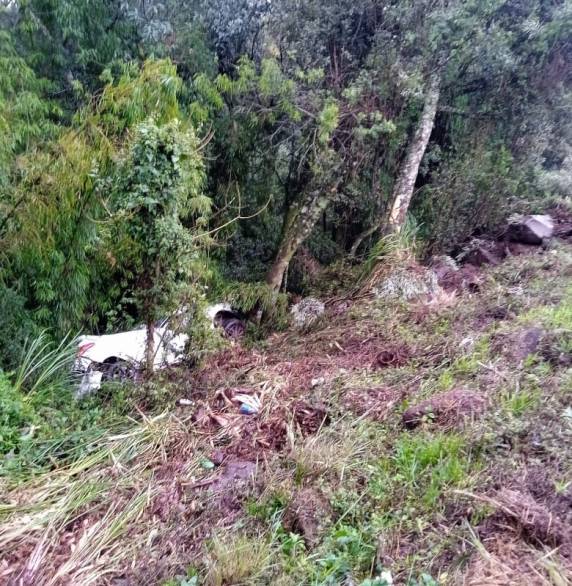 Bombeiros de Ponte Serrada atendem saída de pista seguida de colisão em árvore na BR-153 - foto 3