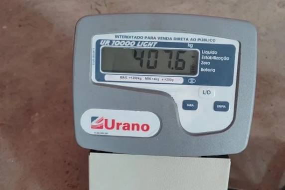 Polícia Civil apreende 400 quilos de maconha após 16 horas de monitoramento em Sapucaia do Sul - foto 3