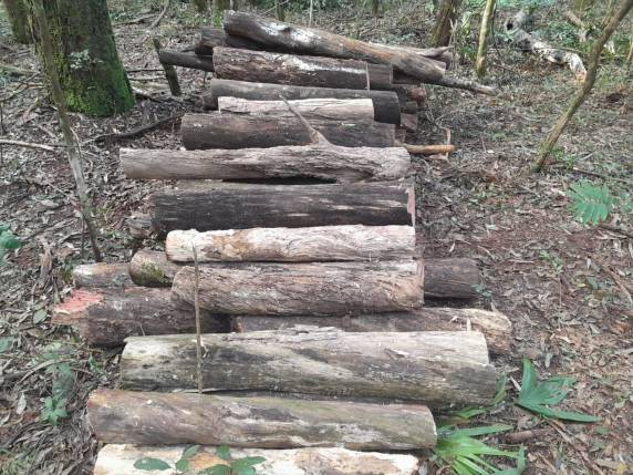 Brigada Militar efetua três prisões por furto e crime ambiental em Santo Ângelo - foto 2