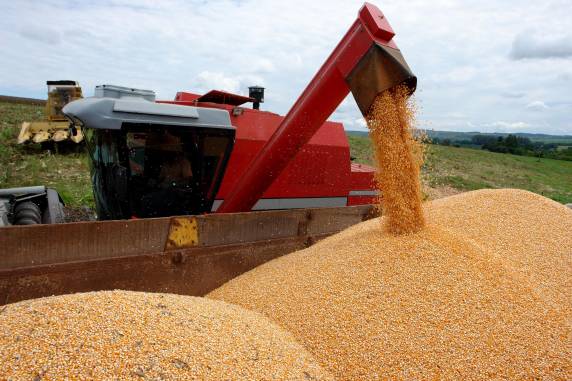 Cenário de recuperação coloca o estado gaúcho na posição de terceiro maior produtor de grãos do país