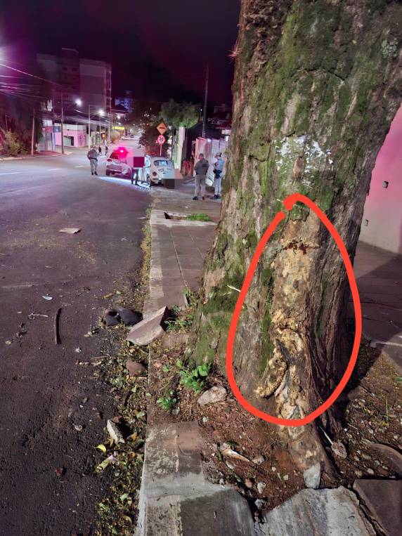 Motorista bate Fusca em árvore, no Centro de Ijuí - foto 3