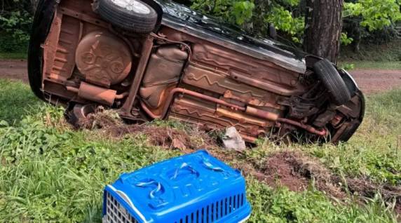 Veículo capota na lateral da BR 285 em Panambi - foto 3
