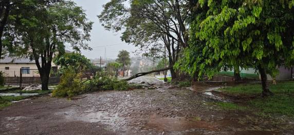 Temporal provoca destelhamentos, que de árvores e falta de energia elétrica em São Luiz Gonzaga - foto 4