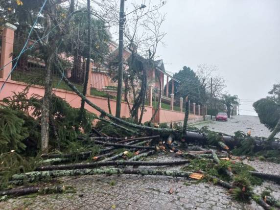 Temporal e vento de 100 km/h deixam casas destelhadas em Camaquã; prefeitura declara emergência - foto 2