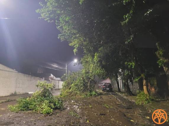 Tempestade atinge Palmeira das Missões nessa quarta-feira - foto 3