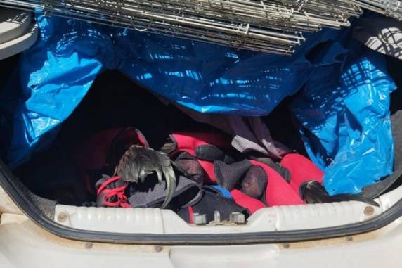 Aves estavam amarradas e enroladas em panos sobre uma lona, sem possibilidade de se movimentarem e com pouca ventilação, no banco traseiro e no porta-malas de um Gol