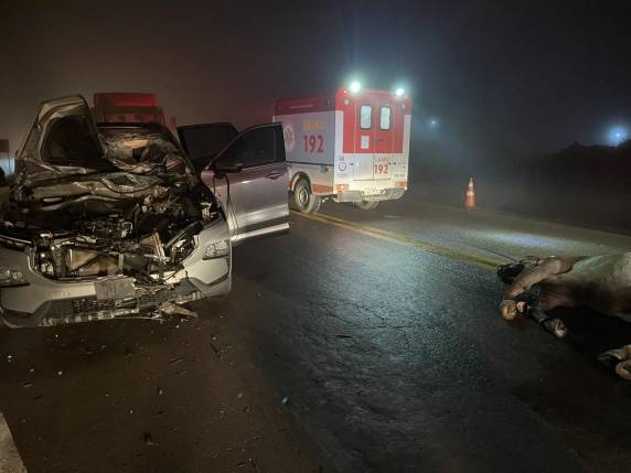 Condutora fica ferida após seu veículo dolidir em cavalo na BR-386 em Soledade - foto 2
