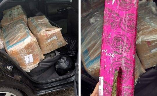 Motorista foi detido após tentativa de fuga e responderá por tráfico de drogas