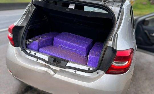 Motorista transportava droga para Florianópolis