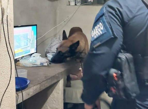 Três de Maio está entre as 34 cidades citadas em operação do GAECO/MPRS e MPM - foto 10