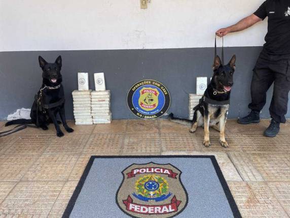 Ao todo, 47,7kg da droga foram localizados.