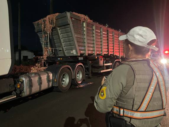 Carga de caminhão espalha resíduos na pista após acidente em Passo Fundo - foto 3