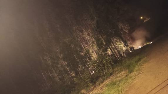 Bombeiros combateram incêndio em mata de eucalipto, em Alegria - foto 2