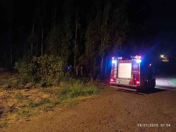 Bombeiros combateram incêndio em mata de eucalipto, em Alegria - foto 3