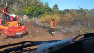 Incêndios de grandes proporções atingem São Borja e mobilizam bombeiros e comunidade - foto 2