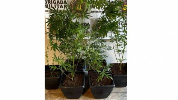 Detido já tinha antecedentes criminais por posse de entorpecentes, segundo a polícia. Também foram apreendidos cigarros e um tijolo da droga