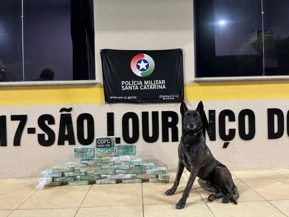 O motorista recebeu voz de prisão e foi apresentado na delegacia de Polícia Civil do município, juntamente com a droga e o caminhão.