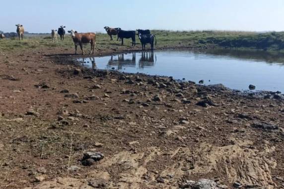 RS tem 37 municípios com decreto de emergência pela estiagem; moradores já enfrentam escassez de água potável - foto 2