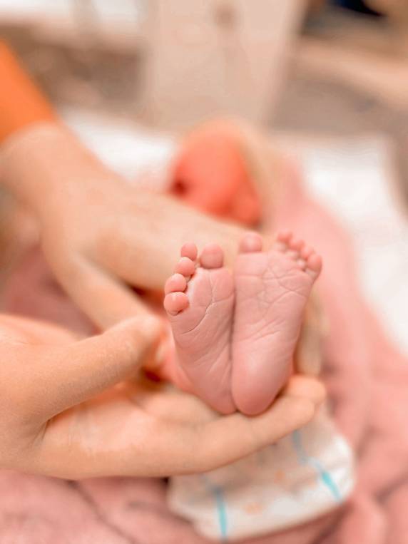A capacitação é destinada para doulas, fisioterapeutas, fotógrafos e cinegrafistas que desejam realizar acompanhamento de nascimentos dentro da Instituição.