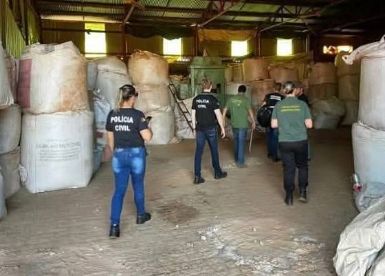 As sementes estavam armazenadas em bags dentro de um depósito aparentemente irregular