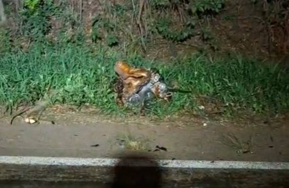 Saída de pista deixa uma vítima fatal na RS-342 em Ijuí - foto 2