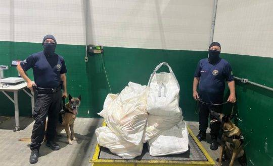 Droga estava escondida em fundo falso de contêiner com laranjas