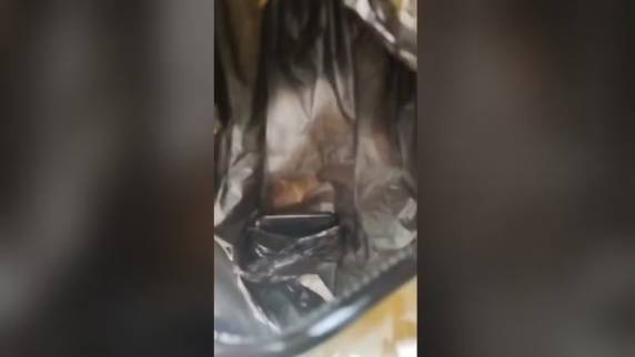 Dono do aparelho confessou o crime e disse que tinha a intenção de 'satisfazer seu fetiche' com as imagens, conforme a PM em relatório.