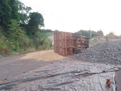 Caminhão carregado de soja tombou na ERS 305 em Alto Crissiumal - foto 3