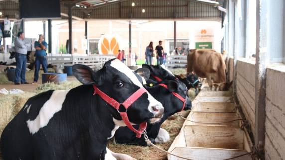 Com uma programação repleta de inovação, conhecimento técnico e interação com os principais especialistas da área, o espaço se consolida como ponto de encontro para produtores, estudantes e apaixonados pelo agronegócio.