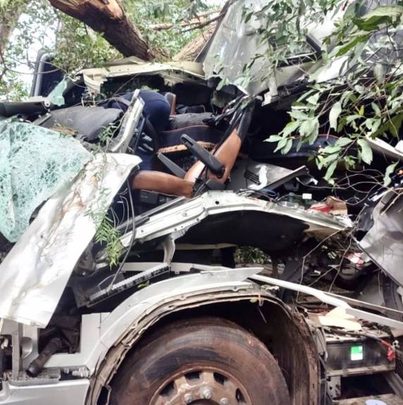Depois de bater em árvores a cabine do caminhão fiou destruída