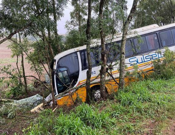 Motorista fica ferido após carro sair da pista e bater em árvore na RS-155 - foto 3