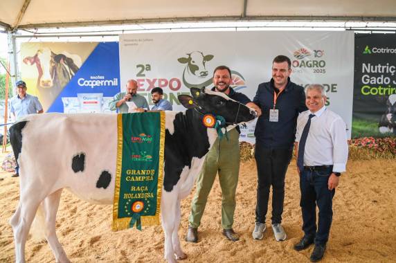 Conhecidos campeões de julgamento de gado da raça holandesa na EXPOAGRO - foto 3