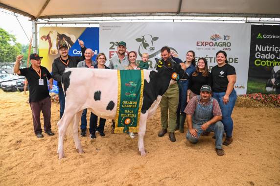 Conhecidos campeões de julgamento de gado da raça holandesa na EXPOAGRO - foto 4