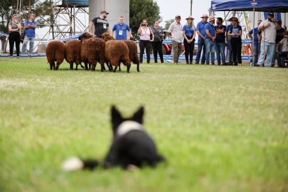 Dia de muito conhecimento na Expofeira 2025 - foto 4