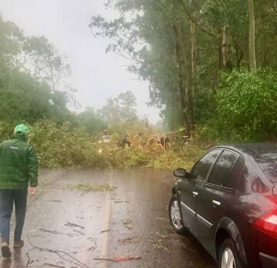 Temporal causa bloqueio temporário na RSC-377 em Alegrete - foto 3