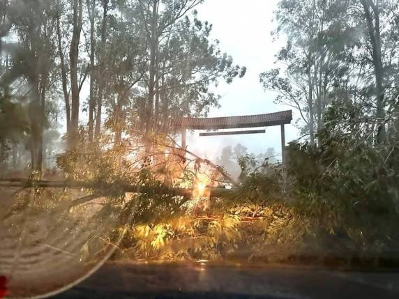 Temporal causa bloqueio temporário na RSC-377 em Alegrete - foto 2