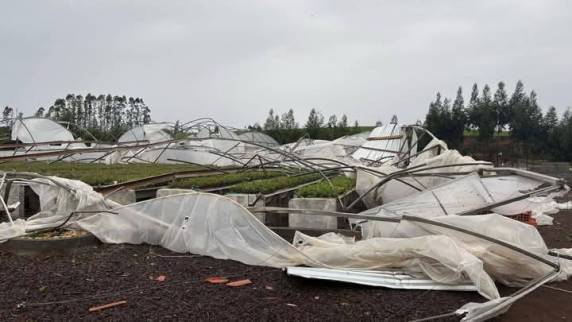 Temporal provoca destruíçao no interior de Erval Grande - foto 4