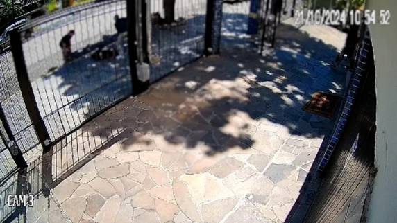 Animal mordeu a vítima de 52 anos, causando-lhe lesões no rosto, nas mãos e nas pernas em 21 de outubro do ano passado