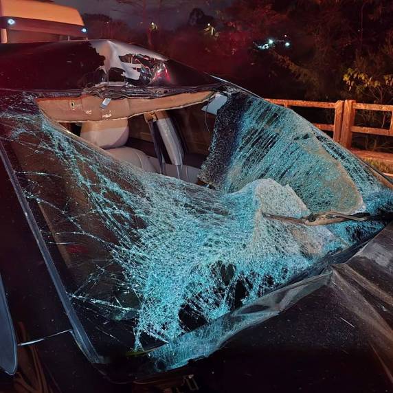 Colisão com cavalo deixa veículo destruído e homem ferido em Passo Fundo - foto 2