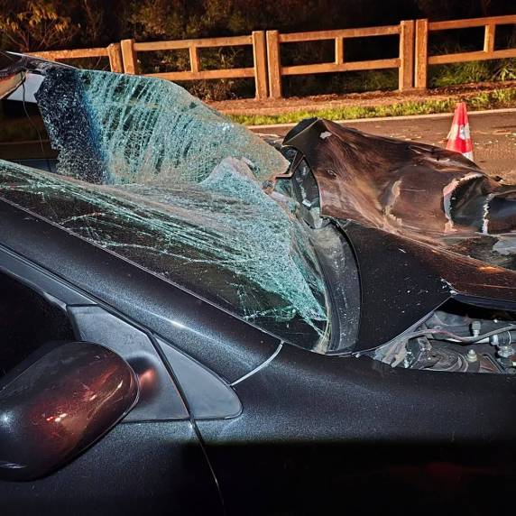 Colisão com cavalo deixa veículo destruído e homem ferido em Passo Fundo - foto 4