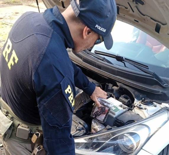 O motorista confessou que receberia pagamento para transportar a substância de Guaíra/PR até Balneário Camboriú. Ele foi conduzido à Delegacia de Polícia, onde vai responder por tráfico de drogas. 