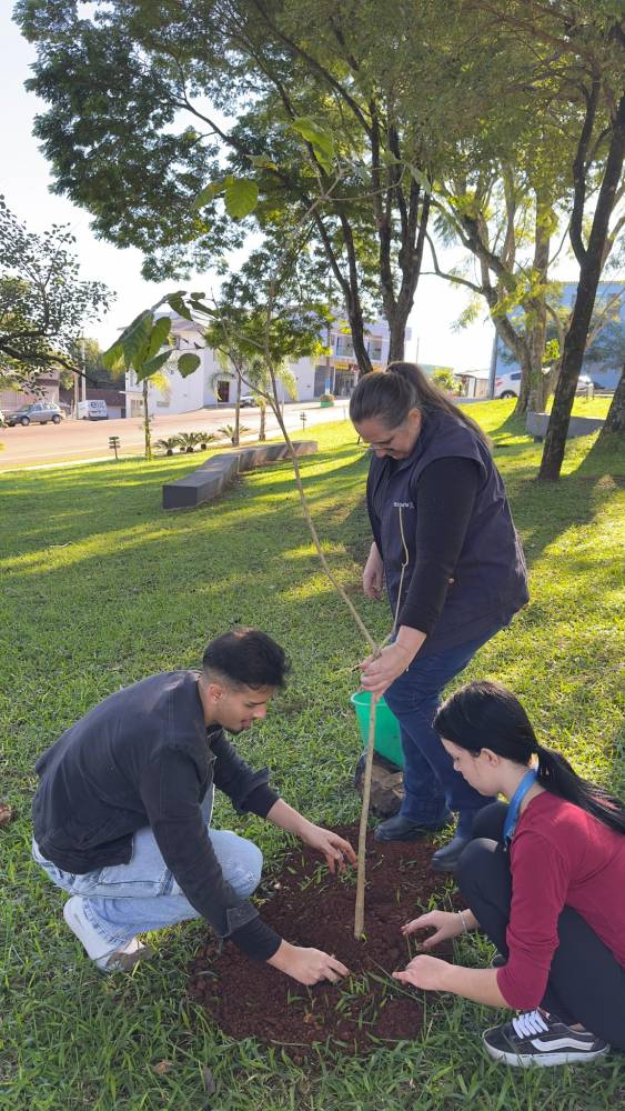 Boa Vista do Buricá promove ações de conscientização pelo Dia Mundial do Meio Ambiente - foto 2