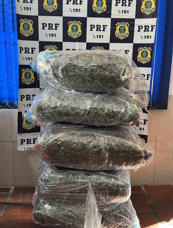 Perseguição na BR-101 termina com 40 quilos de skunk apreendidos em Palhoça - foto 3