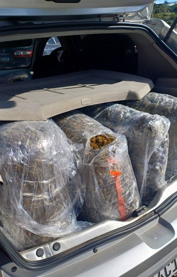 Perseguição na BR-101 termina com 40 quilos de skunk apreendidos em Palhoça - foto 4