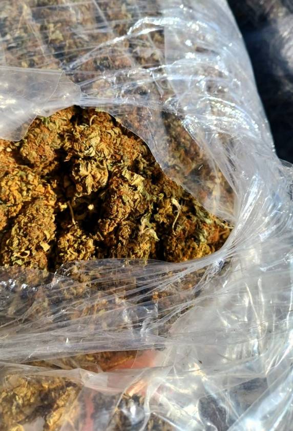 Perseguição na BR-101 termina com 40 quilos de skunk apreendidos em Palhoça - foto 2