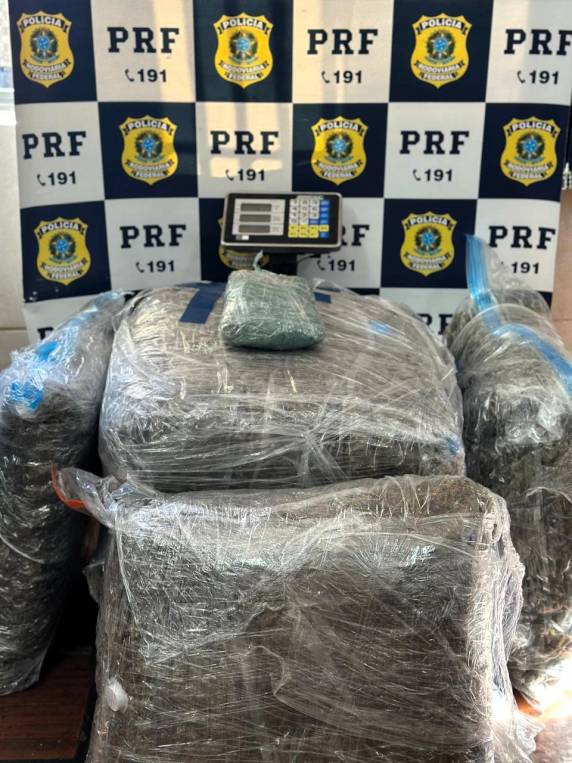 Perseguição na BR-101 termina com 40 quilos de skunk apreendidos em Palhoça - foto 5