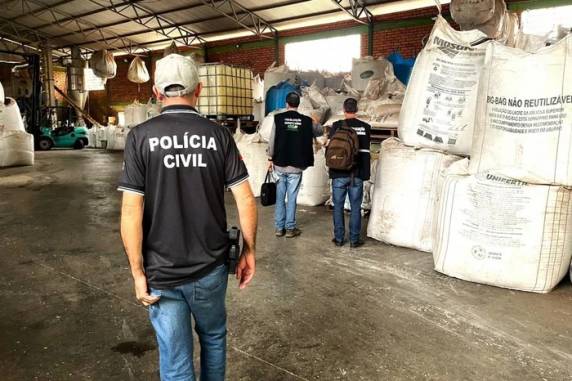 Sementes piratas: comércio ilegal movimenta milhões e ameaça lavouras - foto 2