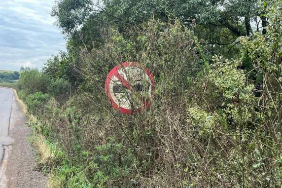 Motoristas reclamam de buracos e falta de sinalização na RS-324, entre Passo Fundo e Pontão - foto 2